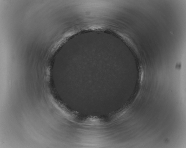 X0000111800260200907301216