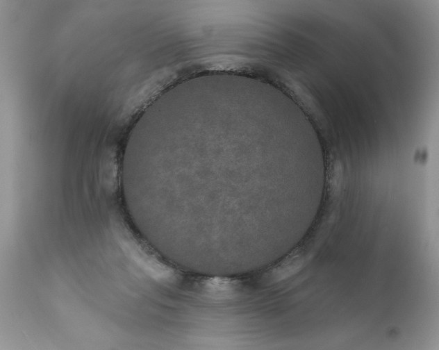 X0000111800261200907301216
