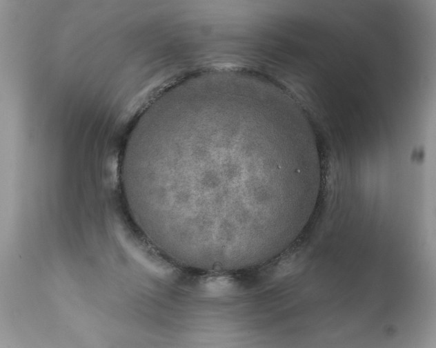 X0000111800262200907301216