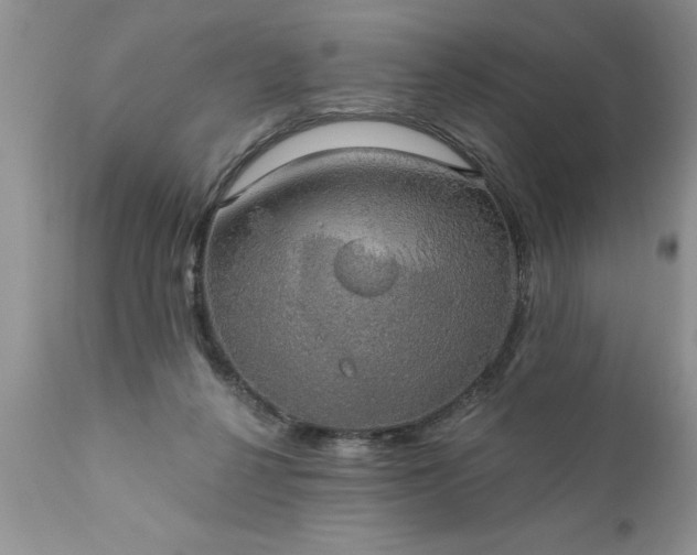 X0000111800264200907301216