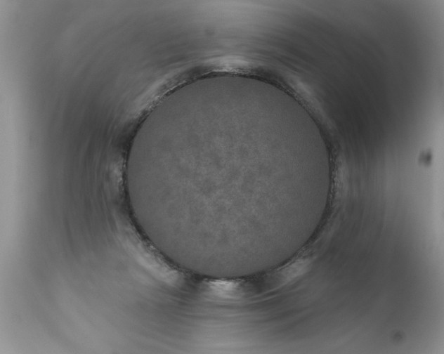 X0000111800265200907301216