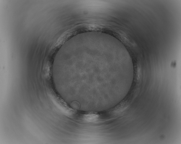 X0000111800266200907301216