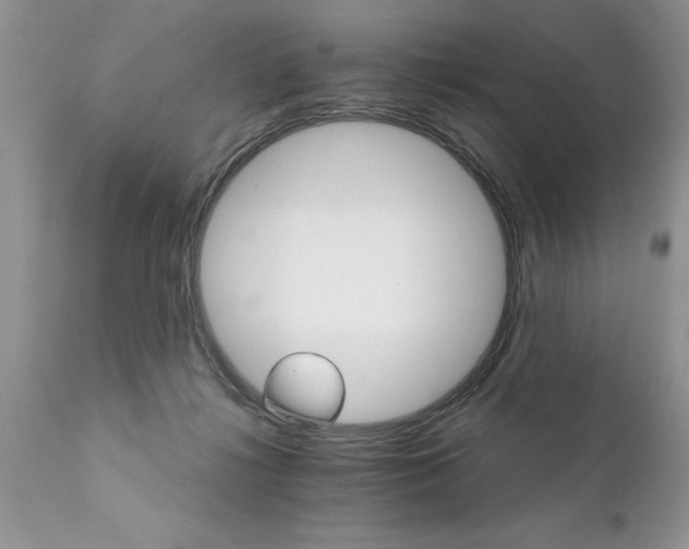 X0000111800268200907301216