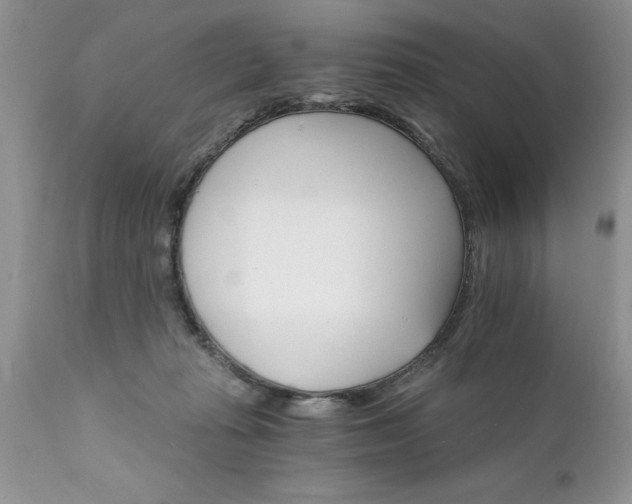 X0000111800269200907301216