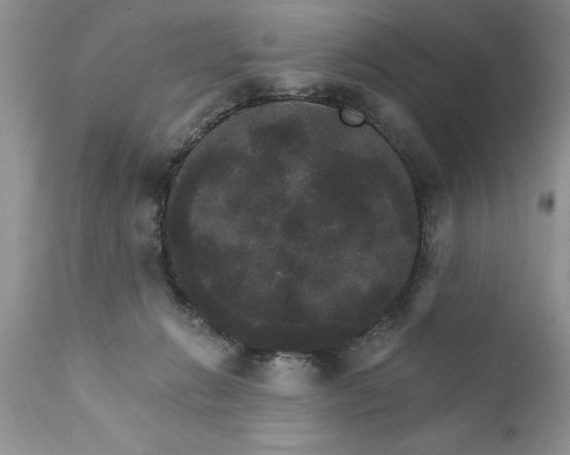 X0000111800270200907301216