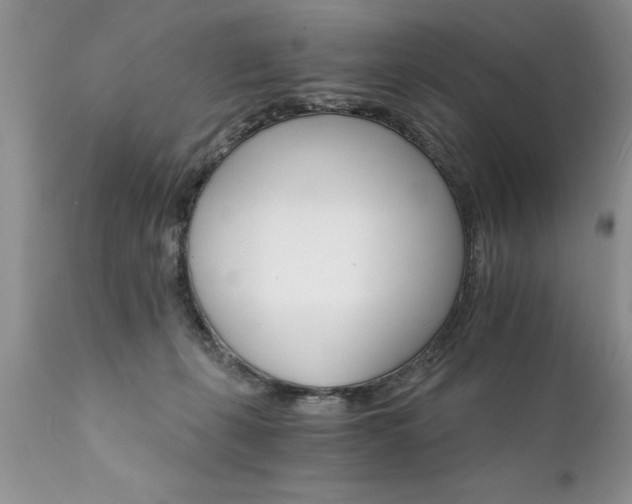 X0000111800271200907301216