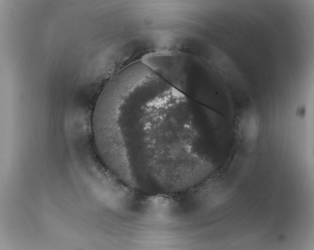 X0000111800272200907301216