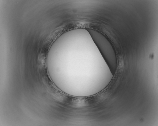 X0000111800276200907301216