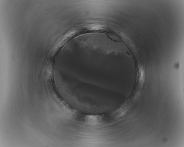 X0000111800277200907301216