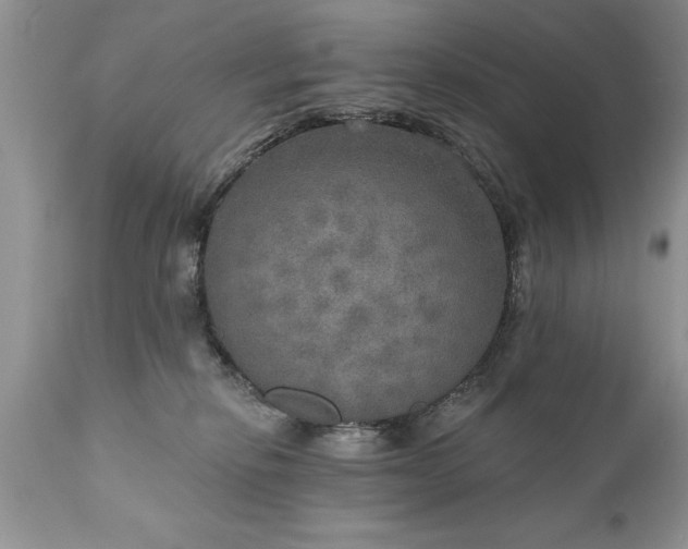 X0000111800278200907301216
