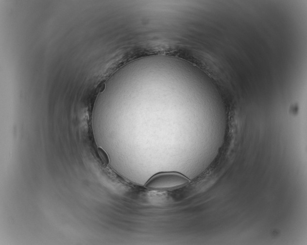 X0000111800279200907301216