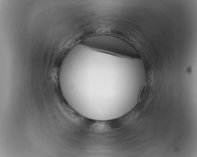 X0000111800280200907301216