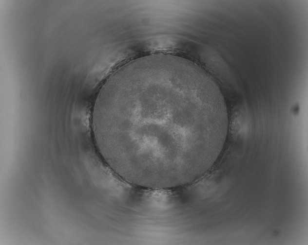 X0000111800282200907301216