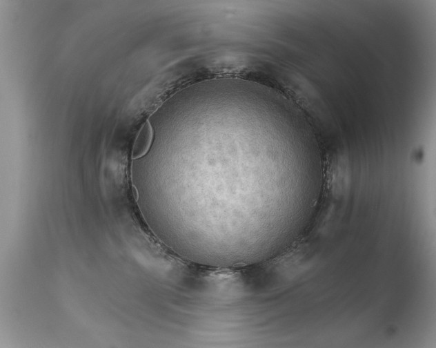 X0000111800283200907301216