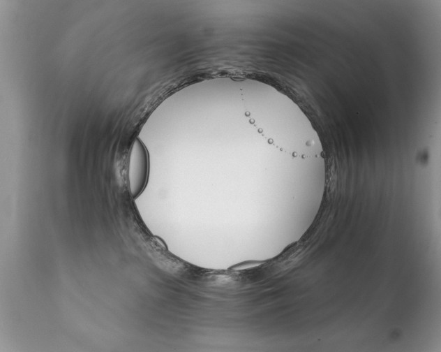 X0000111800285200907301216
