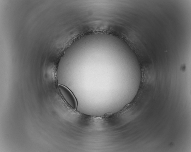 X0000111800287200907301216