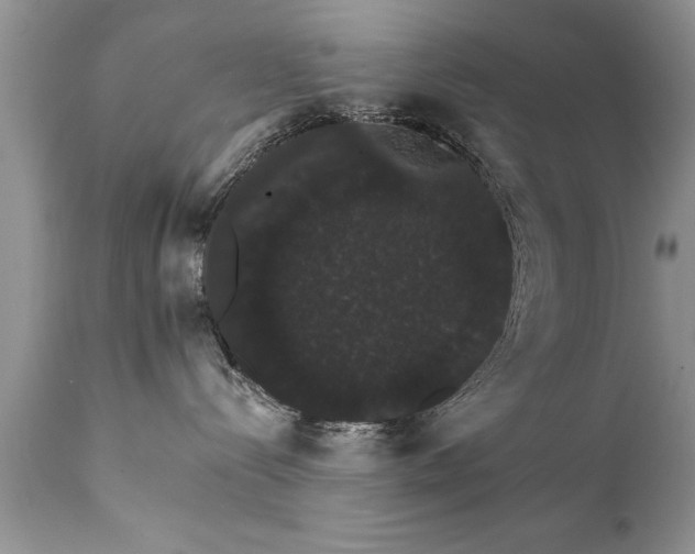 X0000111800288200907301216