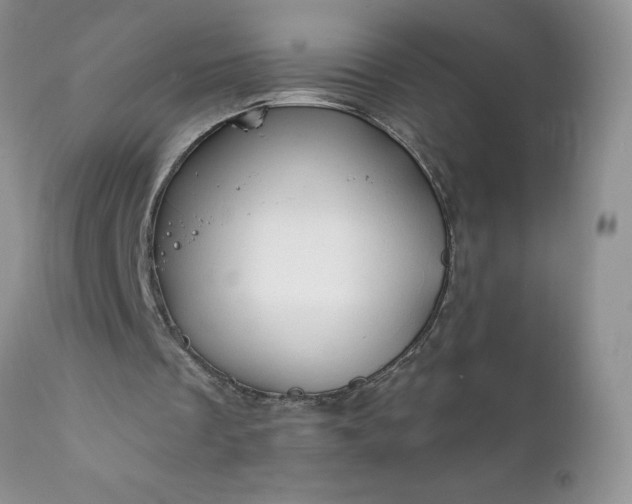 X0000111800289200907301216