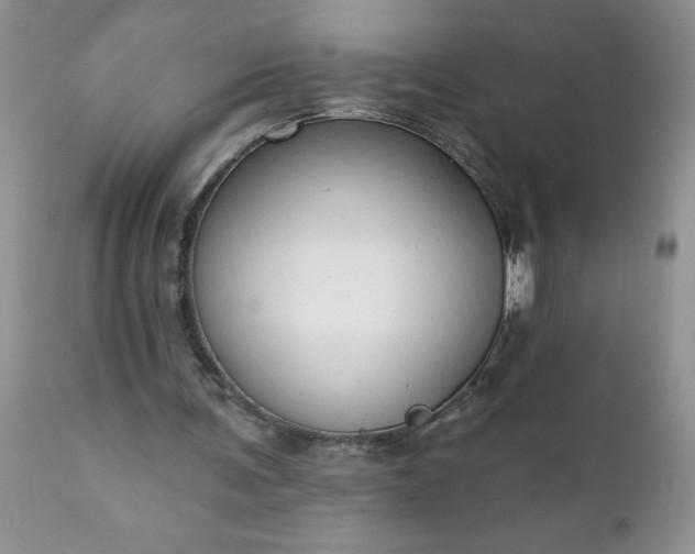 X0000111800291200907301216