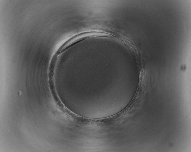 X0000111800292200907301216