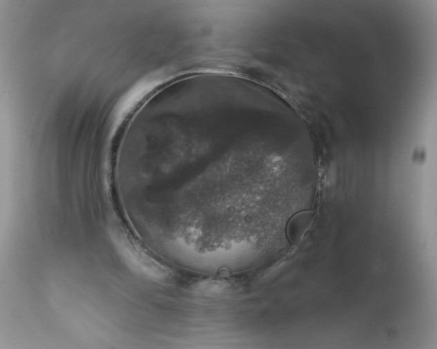 X0000111800294200907301216