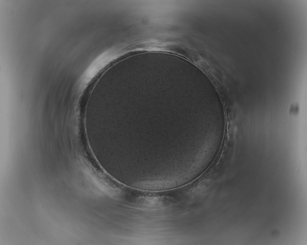 X0000111800295200907301216