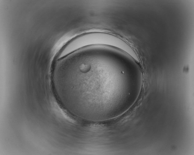 X0000111800296200907301216