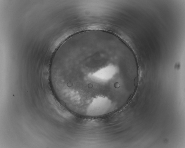 X0000111800297200907301216