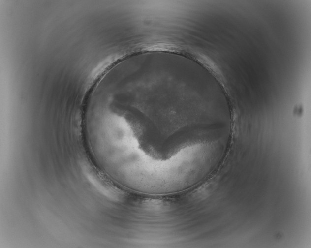 X0000111800298200907301216