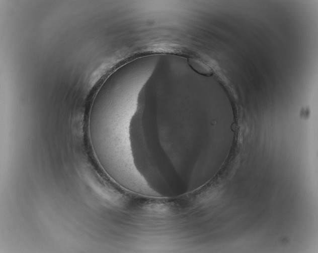 X0000111800299200907301216