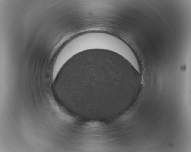 X0000111800300200907301216
