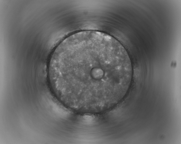 X0000111800302200907301216