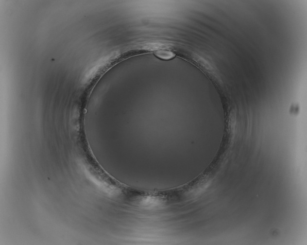 X0000111800303200907301216