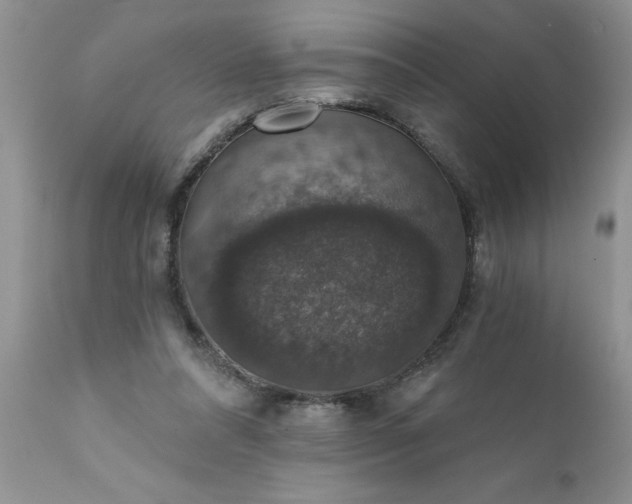 X0000111800304200907301216
