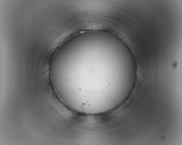 X0000111800305200907301216
