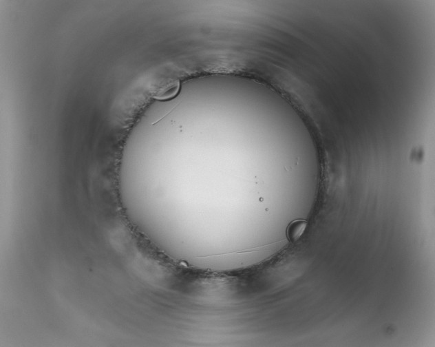 X0000111800307200907301215