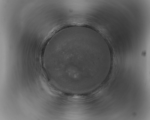 X0000111800312200907301215