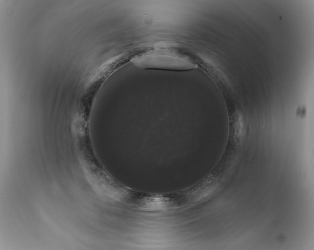 X0000111800316200907301215