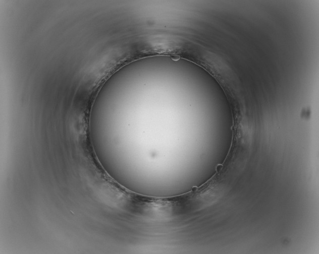 X0000111800317200907301215