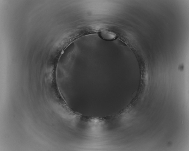 X0000111800319200907301215