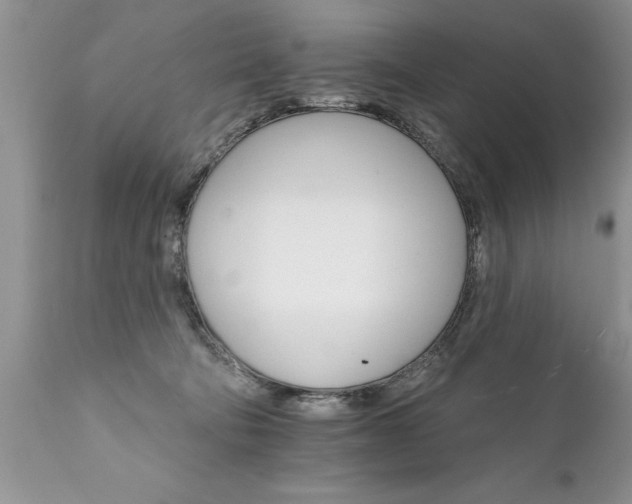 X0000111800322200907301215
