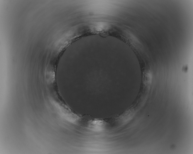 X0000111800324200907301215
