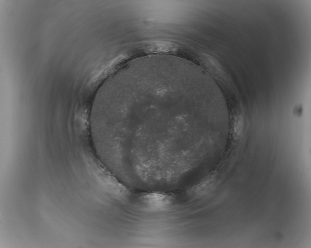 X0000111800326200907301215
