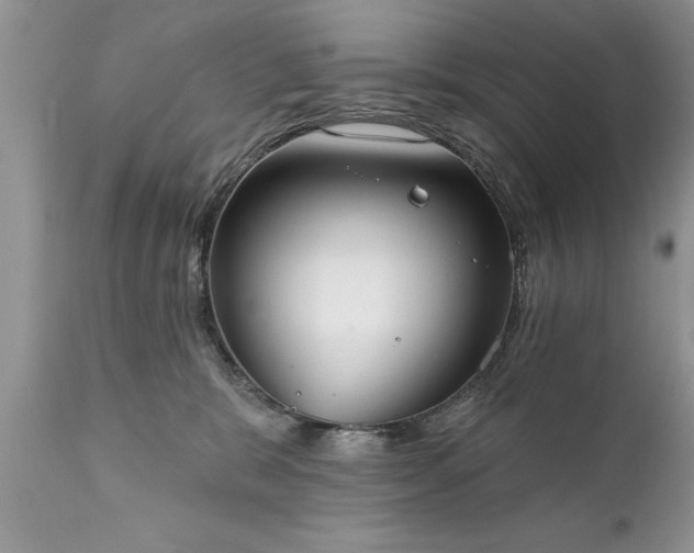 X0000111800327200907301215