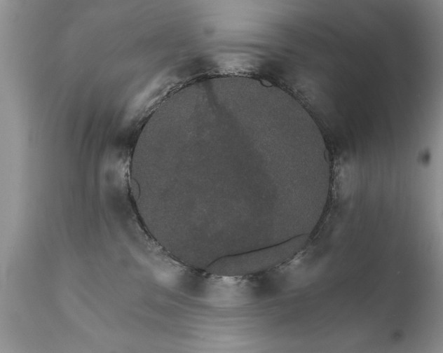 X0000111800329200907301215