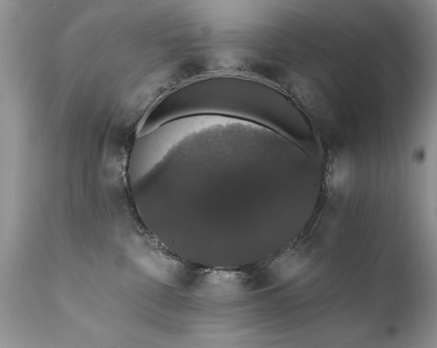 X0000111800332200907301215