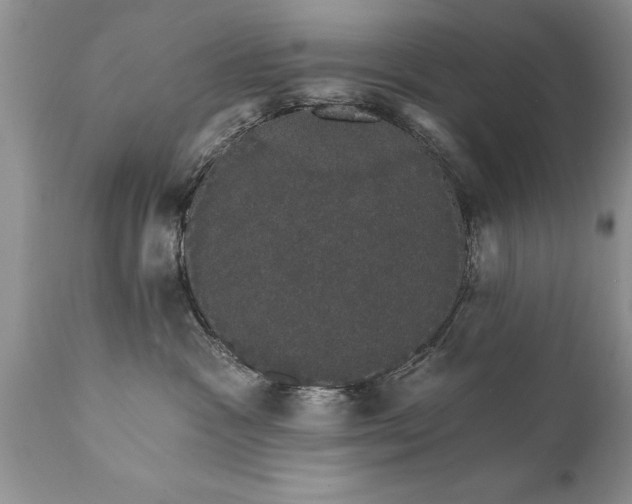 X0000111800333200907301215