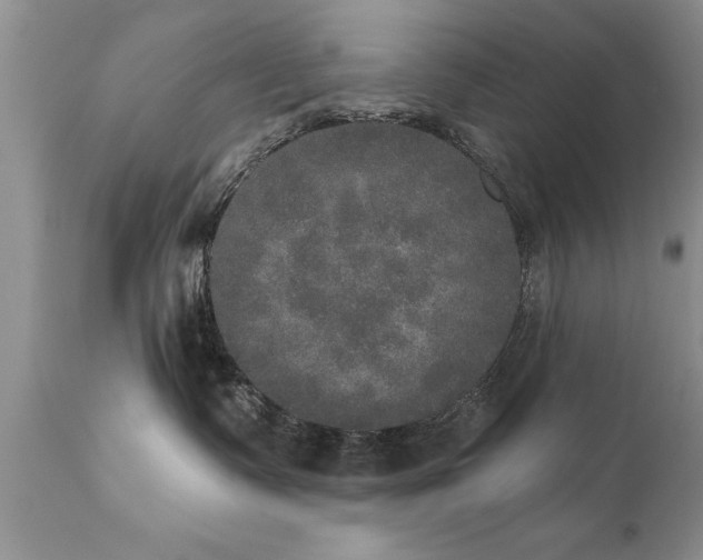 X0000111800335200907301215