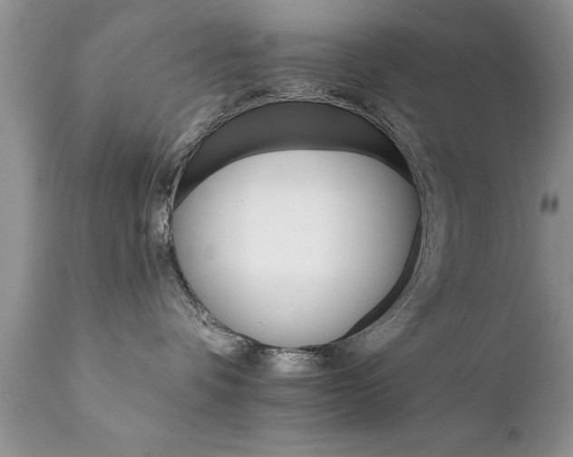 X0000111800336200907301215