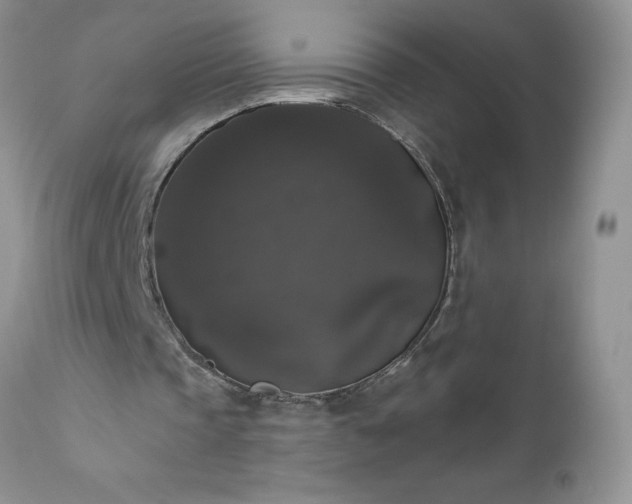 X0000111800337200907301214